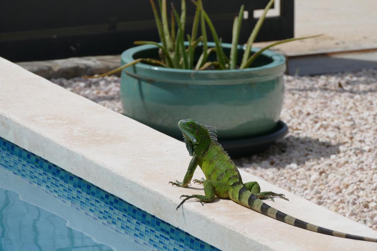 Villa De Mango Fontein エクステリア 写真