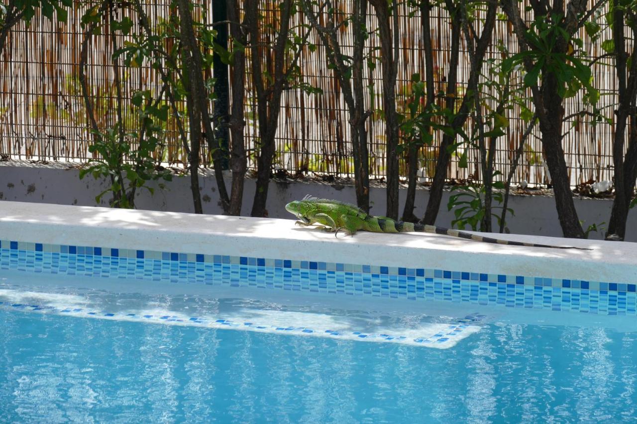 Villa De Mango Fontein エクステリア 写真