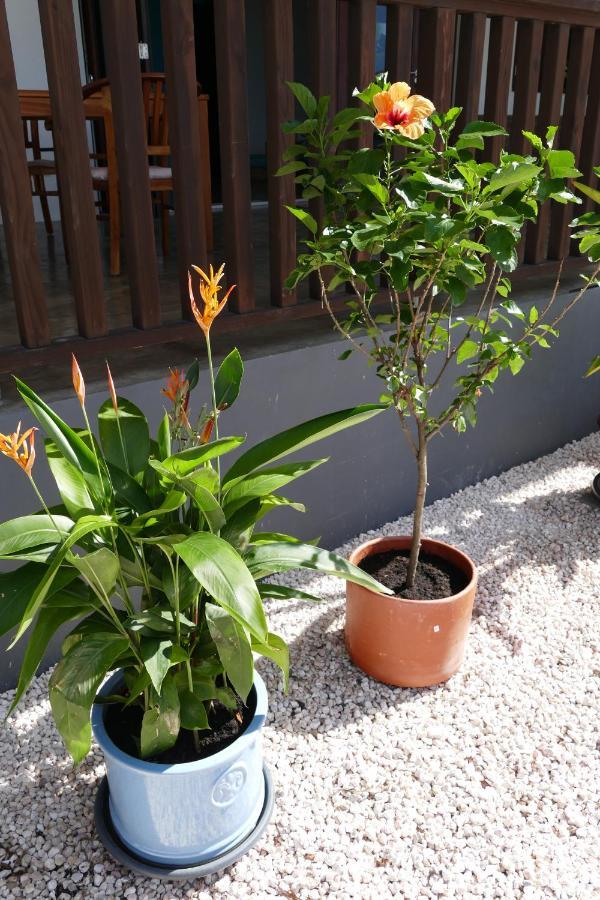 Villa De Mango Fontein エクステリア 写真