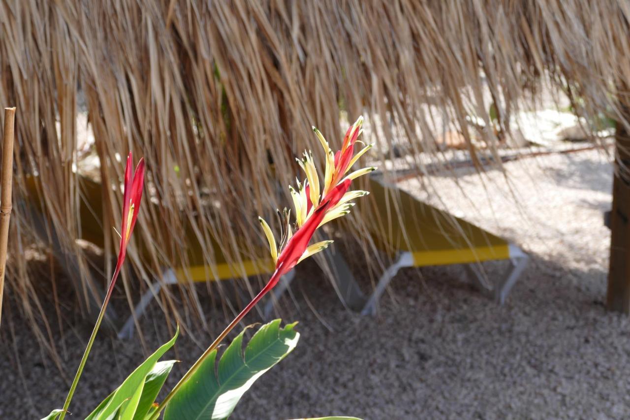 Villa De Mango Fontein エクステリア 写真